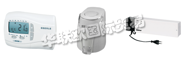 EBERLE保證以奉獻精神處理和實施他們自我實現的目標，