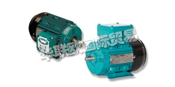 GES公司成立于1972年，當時是Grants Electrical Services(NI)Ltd。，現已發展成為GES集團，一家領先的電氣和機械工程企業，現在為愛爾蘭，英國和歐洲的客戶提供服務。