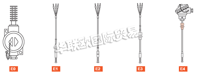 ELSI探頭、ELSI溫度計、熱電阻、熱電偶、熱電偶探頭、電阻溫度計探頭、溫度變送器、便攜式溫度計、滑動法蘭、電子溫度計連接頭、滑動螺紋配件。