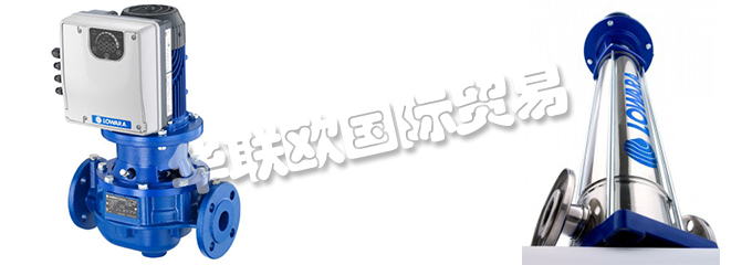 意大利LOWARA是一家專門生產(chǎn)不銹鋼泵的公司，他們提供的產(chǎn)品有：意大利LOWARA泵,、LOWARA水泵、循環(huán)器、端吸泵、多級泵、直列式泵、濕轉(zhuǎn)子循環(huán)器、變速泵、冷凝泵、自吸泵、潛水鉆孔泵、潛水污水和污水泵、潛水式脫水泵、外圍泵、泵控制器、驅(qū)動器、變頻器、控制器、壓力開關(guān)控制器。